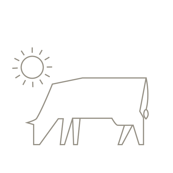 Ganadería en Cantabria - animales en libertad carne de pasto